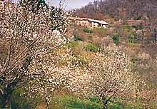 Ferienhaus Ardeche