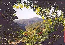 Ferienhaus Ardeche
